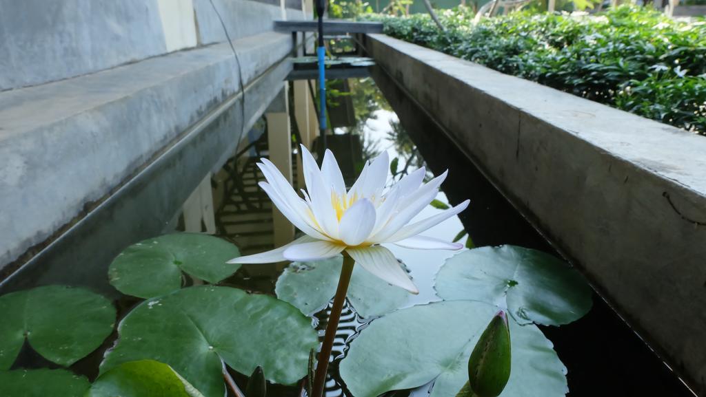 Lullaby Boutique Resort Thap Sakae Eksteriør billede